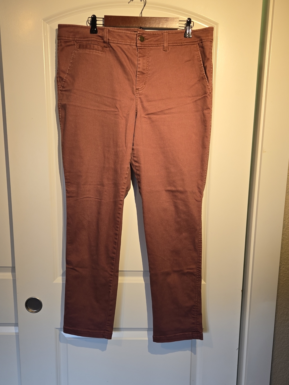 41 Hawthorn Skinny Pants in Rust